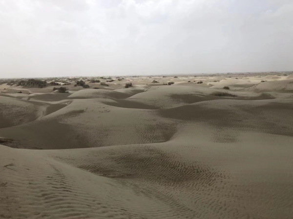 寶山區刑事律師來講講信用卡在ATM機上忘拿走被他人取錢怎么辦