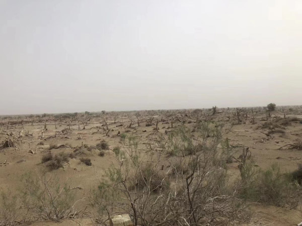 如何避免刑事立案？閔行區刑事律師支招，讓你遠離法律糾紛！