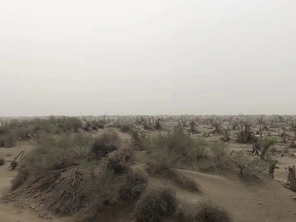 什么表現才算犯罪中止？徐匯區刑事律師為大家解析犯罪中止的具體表現