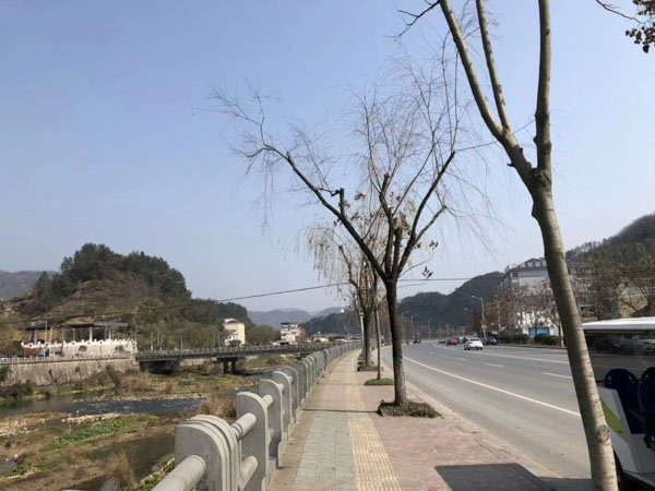 網上購物商城運營半年傳銷層級達46層!上海刑事律師咨詢網帶您了解