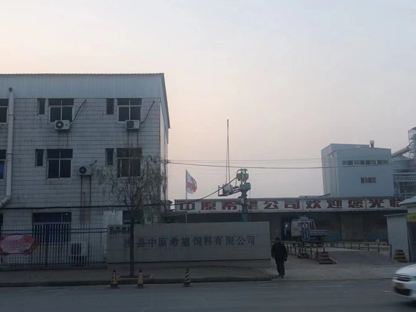 刑事拘留一定會坐牢嗎？上海資深刑事律師告訴你答案