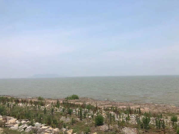 如何認定參加黑社會性質組織罪中的參加行為？上海刑事犯罪律師來回答