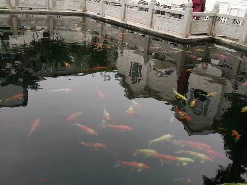 上海刑事案件律師來講講房地產貸款詐騙罪是否影響借款合同的效力