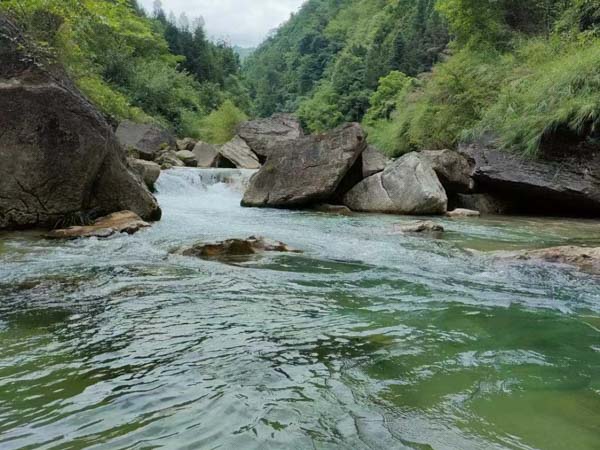 偷稅行為已過訴訟時效該如何處理？上海刑事案件律師為您解答