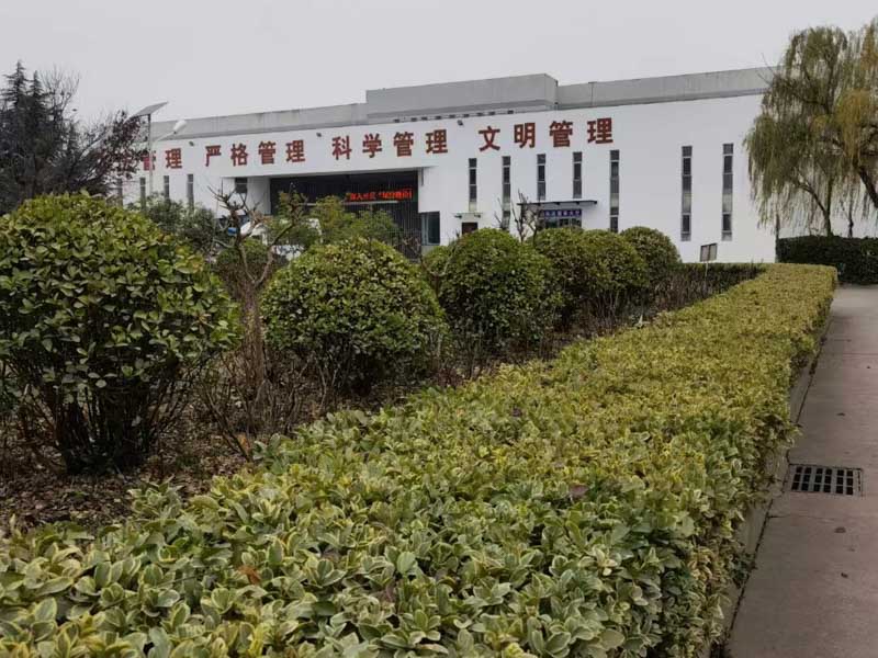 盜竊樹木的數額達到多少錢可以判刑？上海知名刑事律師帶您了解