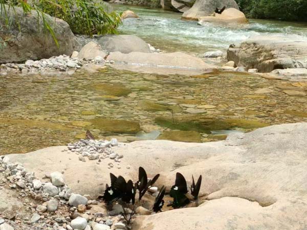 上海優秀刑事案件律師為您講解搶劫未遂從輕處理的話一般判幾年