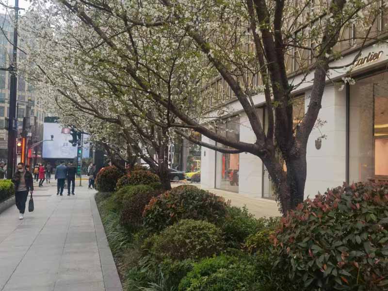 青浦刑事律師解析:虐待部屬罪的構(gòu)成形式要件與實(shí)務(wù)認(rèn)定