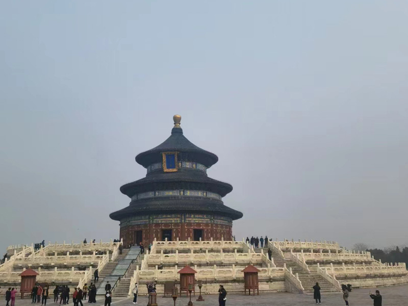 法網恢恢，請勿以身涉險 上海有名的刑事律師講解什么是保險詐騙罪