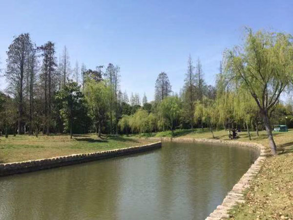 徐匯區(qū)刑事律師解答什么是組織越獄罪？構(gòu)成組織越獄罪的要件有哪些？