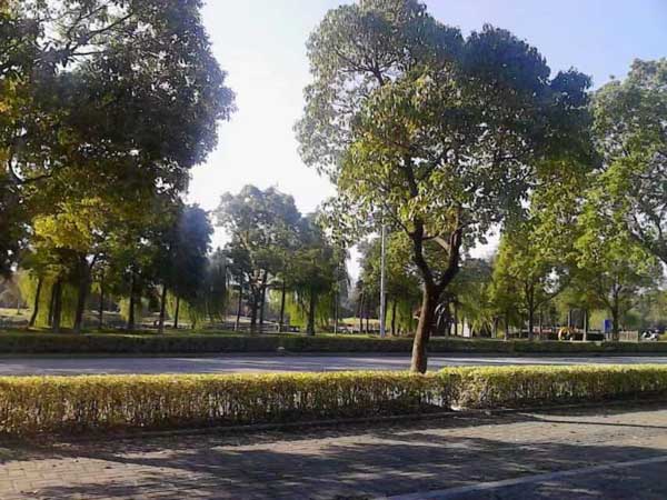 未滿十八歲的法律制度規定有哪些特別規定?上海奉賢刑事律師來教您