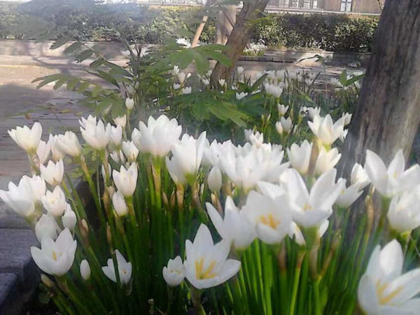 盜竊自己借給別人的東西在司法實(shí)踐中是盜竊嗎？上海刑事律師事務(wù)所來回答