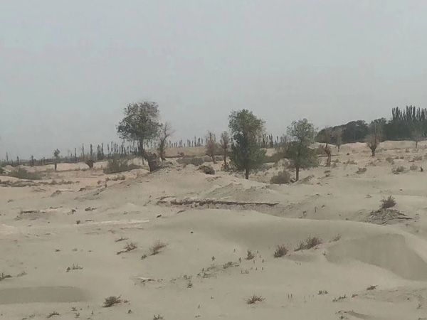 成為黑惡勢力保護傘會后哪些后果？上海刑事犯罪律師告訴您