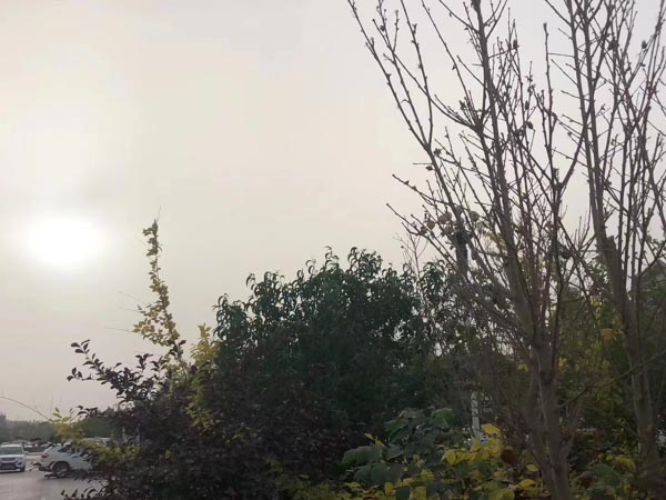 刑事案件的當(dāng)庭審判有何影響?上海刑事案件律師來回答