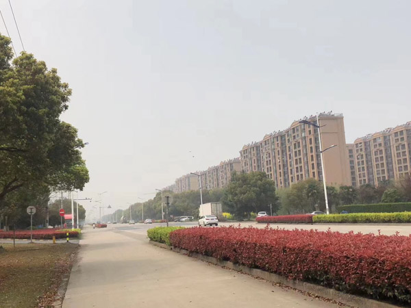 貪污案適用減輕處罰情節能否減至免予刑事處罰？上海刑事專業律師來回答