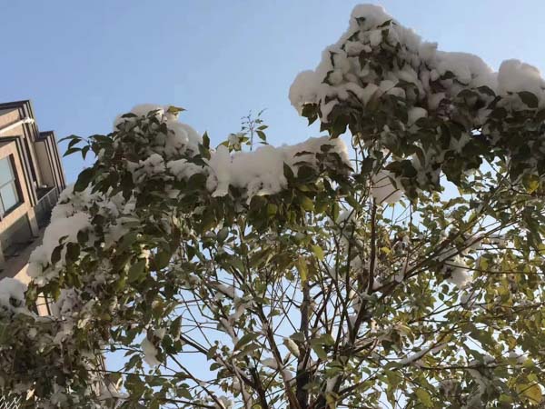 職務侵占罪侵犯的法益是什么？青浦刑事律師為您解答