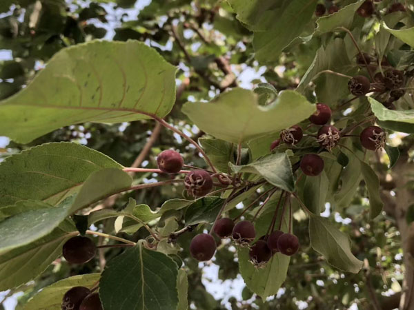盜竊自己借給別人的東西在司法實(shí)踐中是盜竊嗎？上海刑事律師事務(wù)所來回答