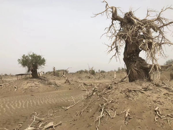 盜竊自己借給別人的東西在司法實(shí)踐中是盜竊嗎？上海刑事律師事務(wù)所來回答
