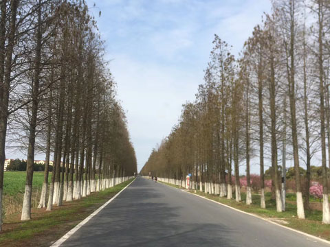 上海刑事律師：打架派出所調解賠償費用是多少