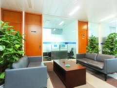 上海經(jīng)濟犯罪律師-常見的經(jīng)濟犯罪有哪些