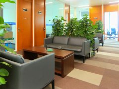 上海刑事辯護律師回答：上海減刑最多可以減幾