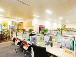 <b>奉賢區(qū)刑事律師視角：網購手機配件牽出制假案，制假售假的處罰剖析</b>