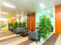 <b>奉賢刑事律師解讀經濟犯罪判刑時長的多維度考量</b>